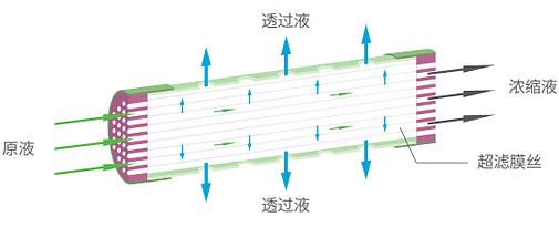 HJC888黄金城·(中国区)最新官方网站